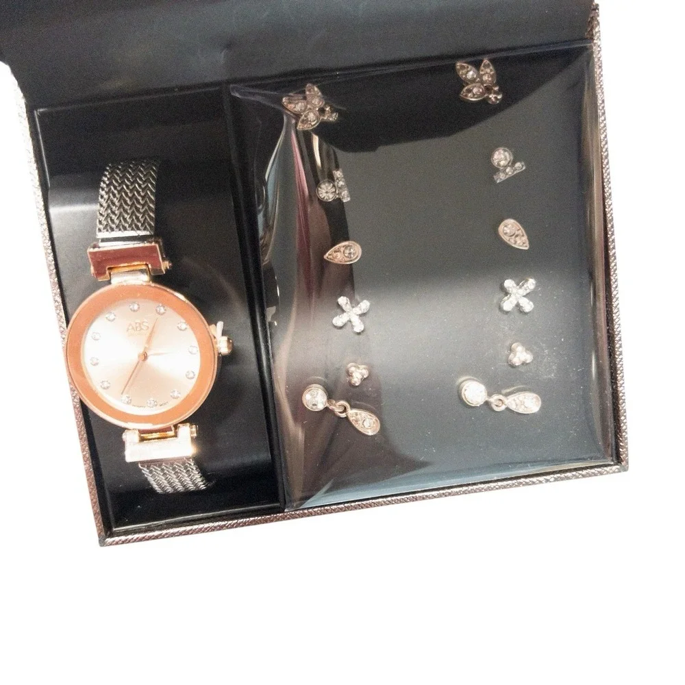 NIB Allen‎ Schwartz Womens Watch and Earrings